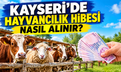 Kayseri’de Çiftlik Kurma Hibesi, 2026 Destekleri, Başvuru Şartları
