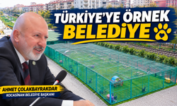 Sokak Hayvanları için Kocasinan'dan Bütüncül Model