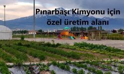 Pınarbaşı Kimyonu üretimi yaygınlaştırılacak