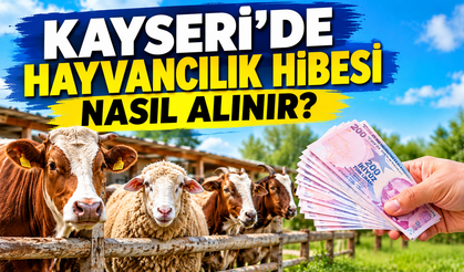 Kayseri’de Çiftlik Kurma Hibesi, 2026 Destekleri, Başvuru Şartları