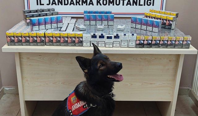 Kaçakçılar jandarmadan kaçamadı