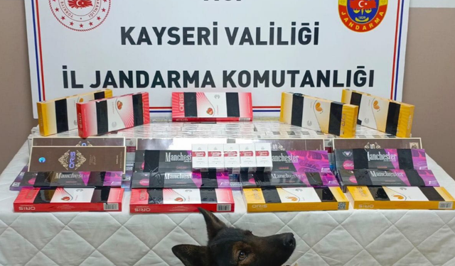 700 paket kaçak sigara yakalandı
