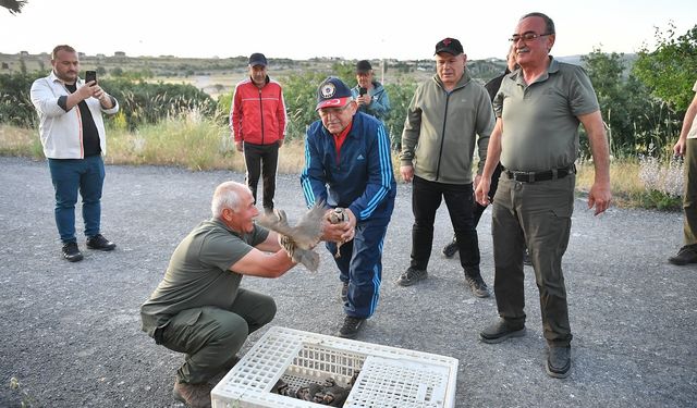 Kayseri'de doğaya keklik salımı yapıldı