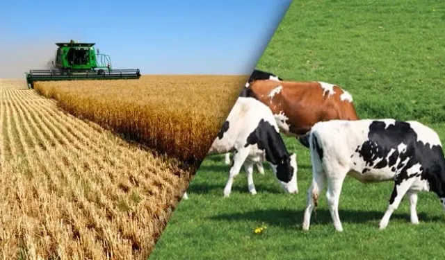 Kayseri’de Çiftçiye Dev Destek