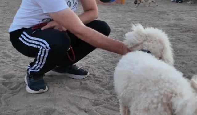 Kayseri’de Proteo Köpek Eğitim Parkuru Vatandaşlardan Tam Not Alıyor