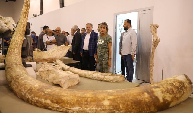 Kayseri’de 7,5 Milyon Yıllık Fosil Çalışmaları Tanıtıldı!
