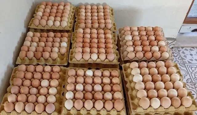 Yumurta Fiyatları Uçuşa Geçti