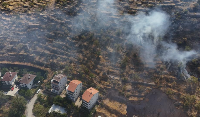1 patlıcan için ormanı yaktı