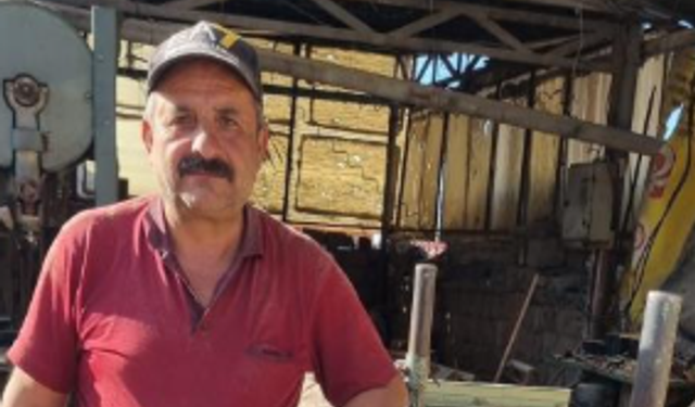 Tomruk can aldı