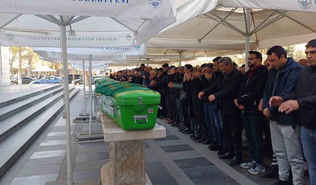 Miras meselesi kaynanayı toprağa verdi!