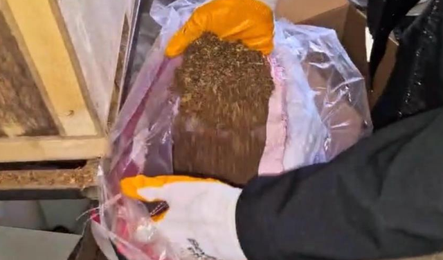 2 kardeş aynı pencereden atladı