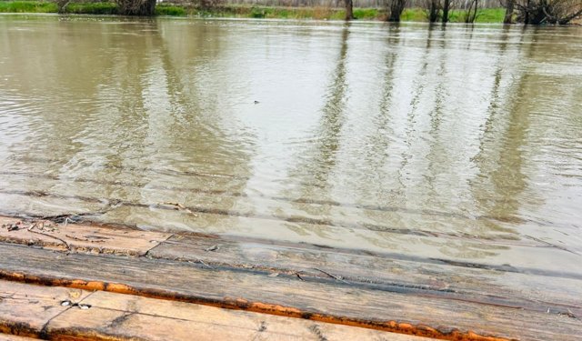 Kano merkezleri sular altında kaldı