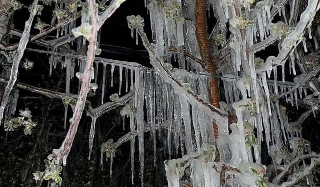 Kayseri’de Hava Alarmı: Yağış, Kar ve Don Etkili Olacak