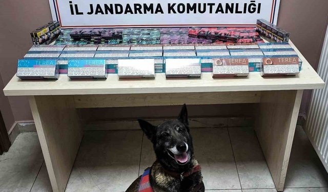 Kayseri'de Kaçakçılık Operasyonu