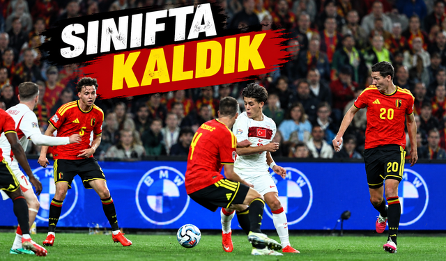 Türkiye Kaç Puanı Var, Fikstürü!