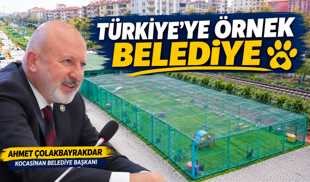 Sokak Hayvanları için Kocasinan'dan Bütüncül Model