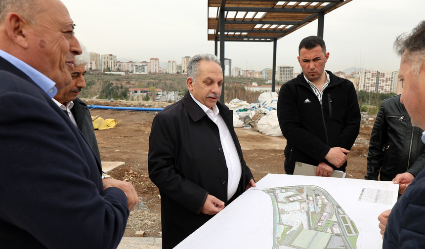 Talas’a Karbon Yutak Alanı Geliyor