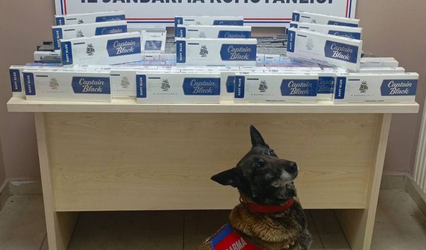 Bin 400 paket kaçak sigara yakalandı
