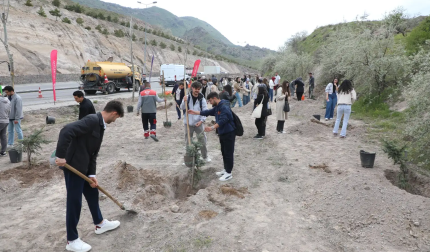 Melikgazi’de Yeşil Alan Seferberliği Sürüyor