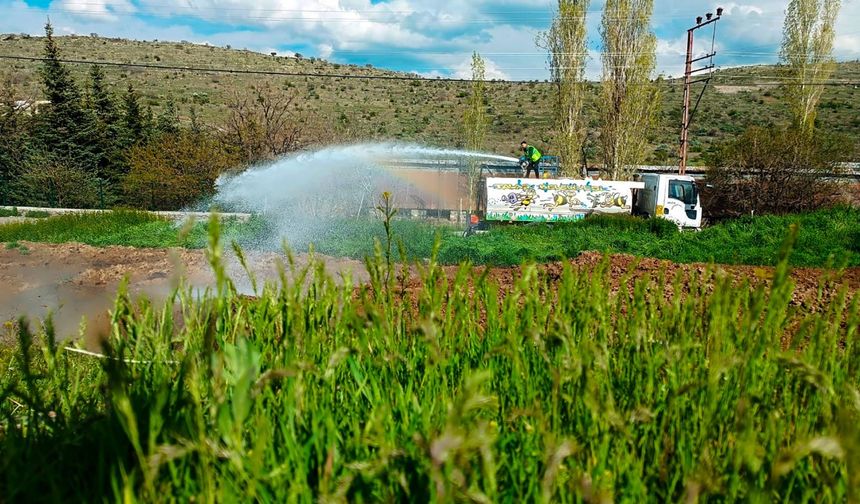 Talas'ta haşereyle kararlı mücadele