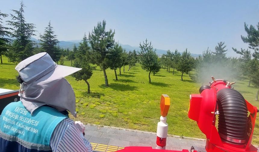 Yeşil alanlarda ilaçlama çalışması sürüyor