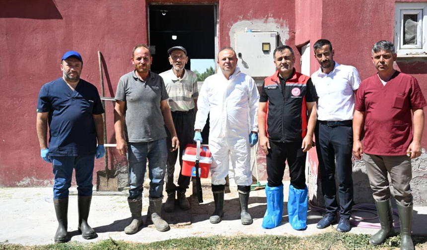 Şap aşısı uygulaması devam ediyor