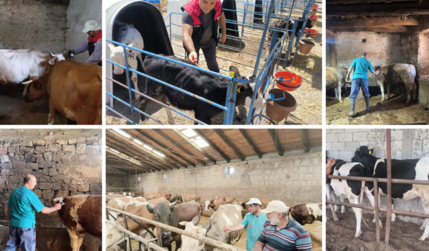 Yatay geçiş başvurularında son gün