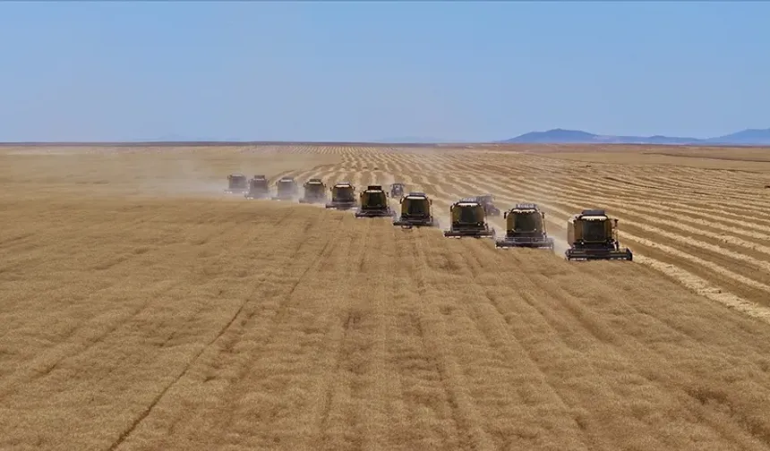 Kayseri Çiftçisinin Yüzü Gülecek