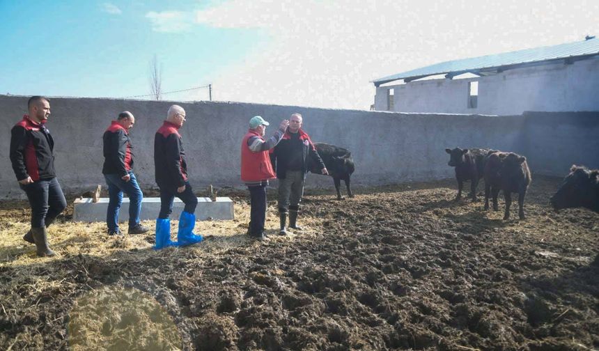 Kayseri Pınarbaşı’nda Hayvancılık Desteği Sürüyor