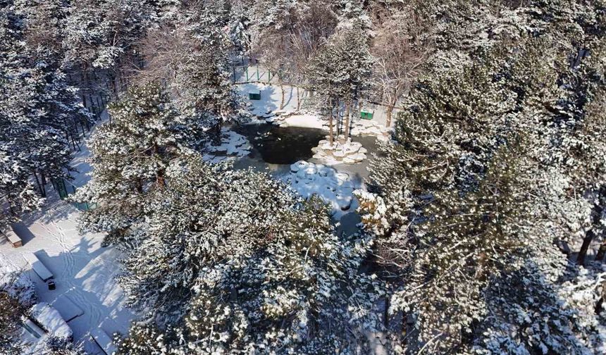 Kayseri’de Termometreler Eksi 14’ü Gösterdi!