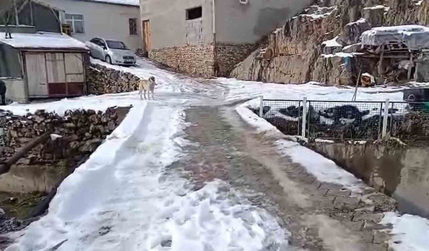 Korkuluksuz Köprü Tehlike Saçıyor