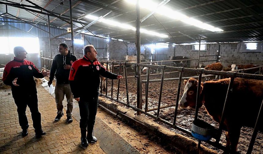 Kocasinan’da Hastalıktan Arı İşletmelere Denetim ve Belge Töreni