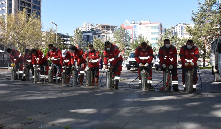 Kocasinan’da  haşere mücadelesi başladı