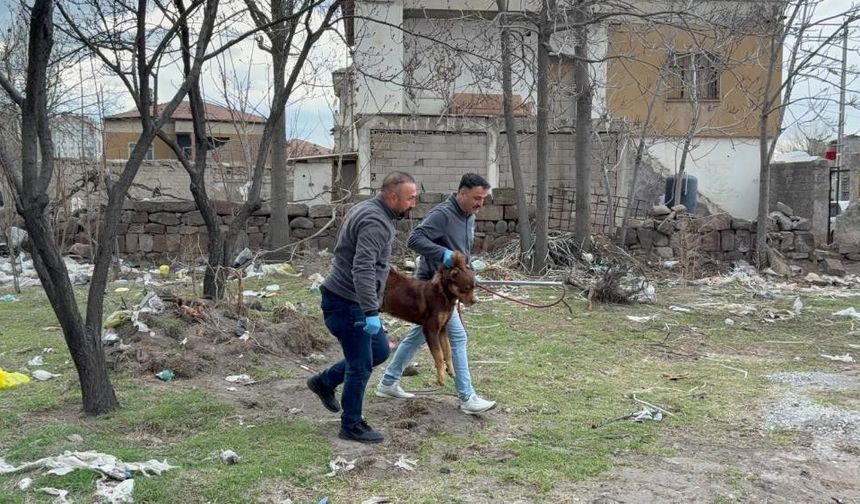 S*ldırgan köpeğin resmî olmayan sahibi ortaya çıktı
