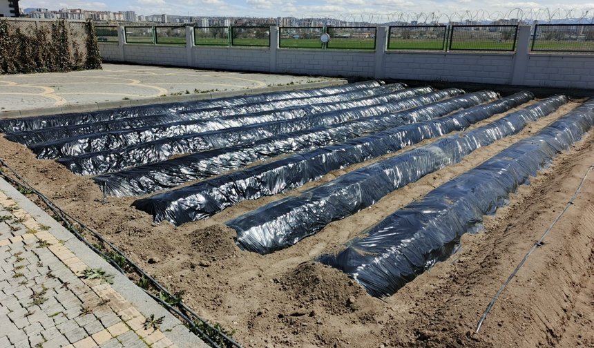 Kayseri’de Doğal Üretim Seferberliği!