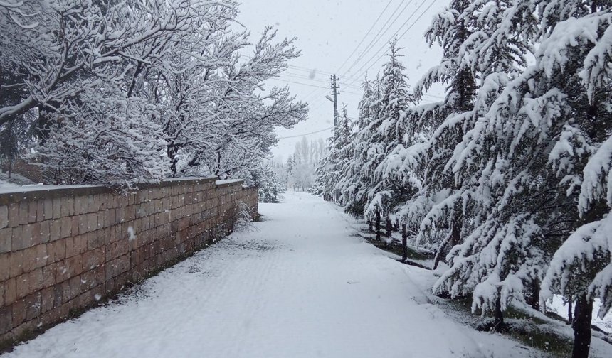 Nisan Ayında Yağan Kar Mahalleyi Beyaza Bürüdü