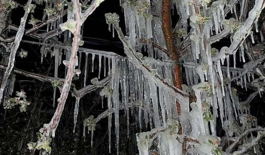 Kayseri’de Hava Alarmı: Yağış, Kar ve Don Etkili Olacak