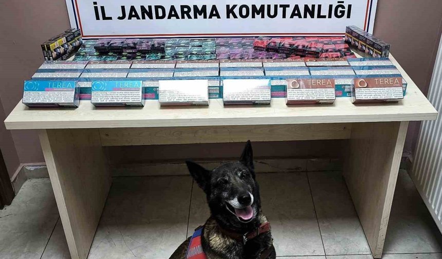 Kayseri'de Kaçakçılık Operasyonu