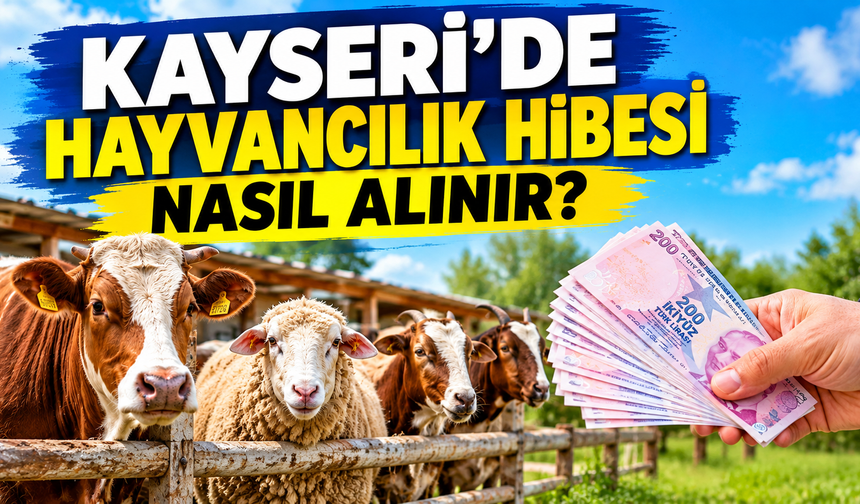 Kayseri’de Çiftlik Kurma Hibesi, 2026 Destekleri, Başvuru Şartları