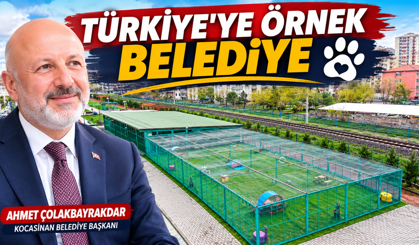 Sokak Hayvanları için Kocasinan'dan Bütüncül Model
