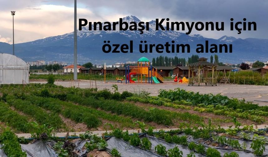 Pınarbaşı Kimyonu üretimi yaygınlaştırılacak