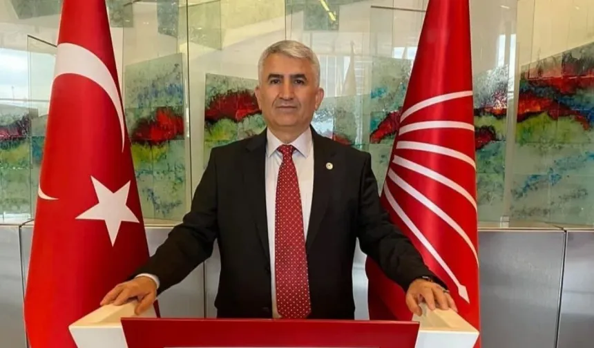 CHP'li Zeki Gümüş: "Sunduğumuz kedi ve köpek evi önergesi reddedilmişti"