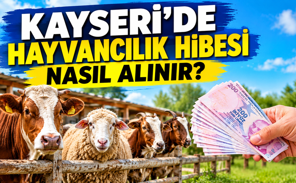 Kayseri’de Çiftlik Kurma Hibesi, 2026 Destekleri, Başvuru Şartları