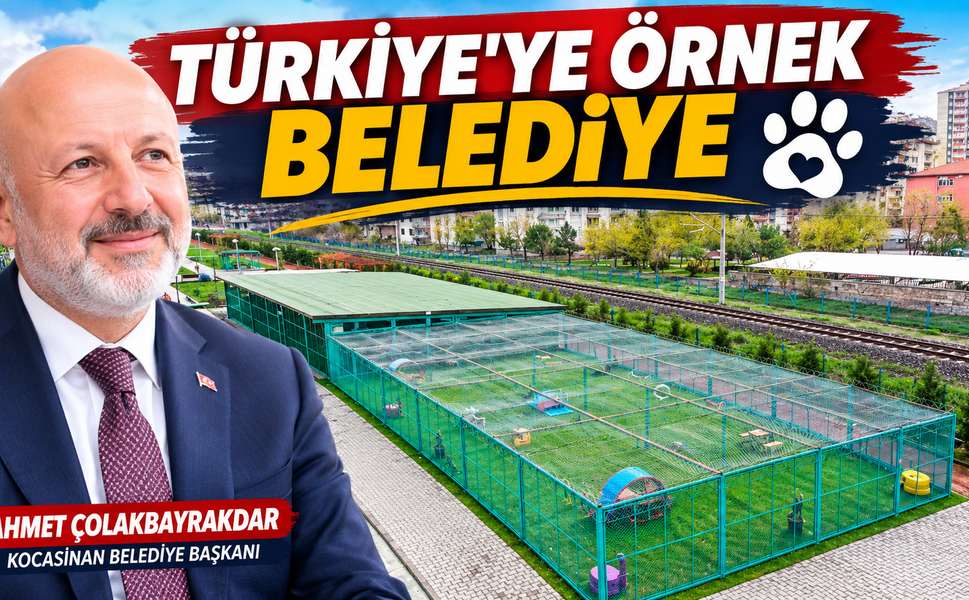 Sokak Hayvanları için Kocasinan'dan Bütüncül Model