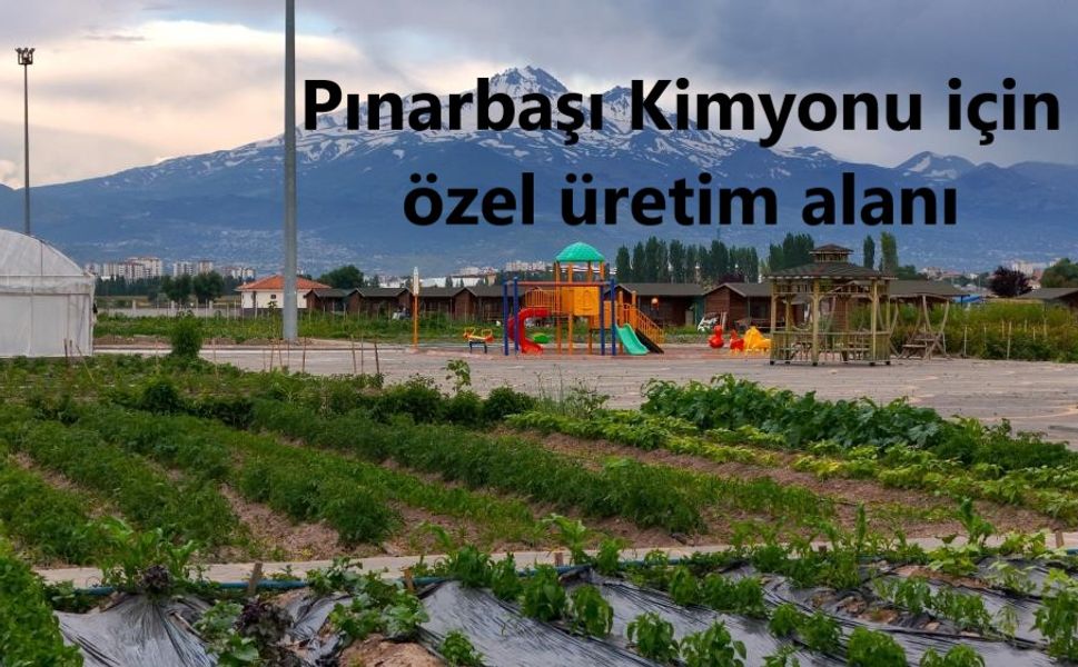 Pınarbaşı Kimyonu üretimi yaygınlaştırılacak
