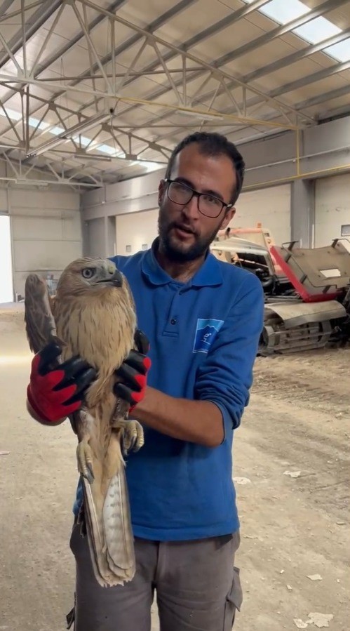 Erciyes’te Yaralı Şahin Kurtarıldı 1