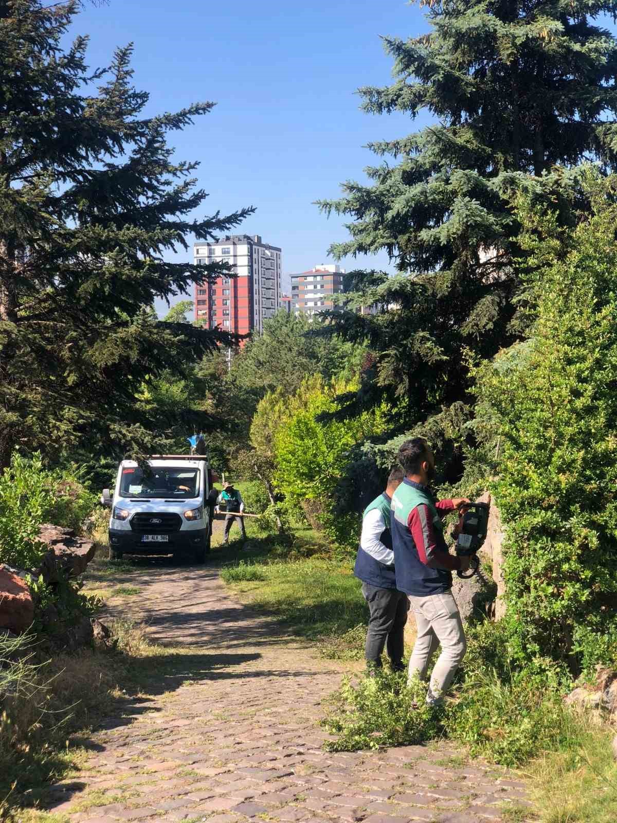 Kayseri’nin Dört Bir Yanı Yeşile Bürünüyor 1