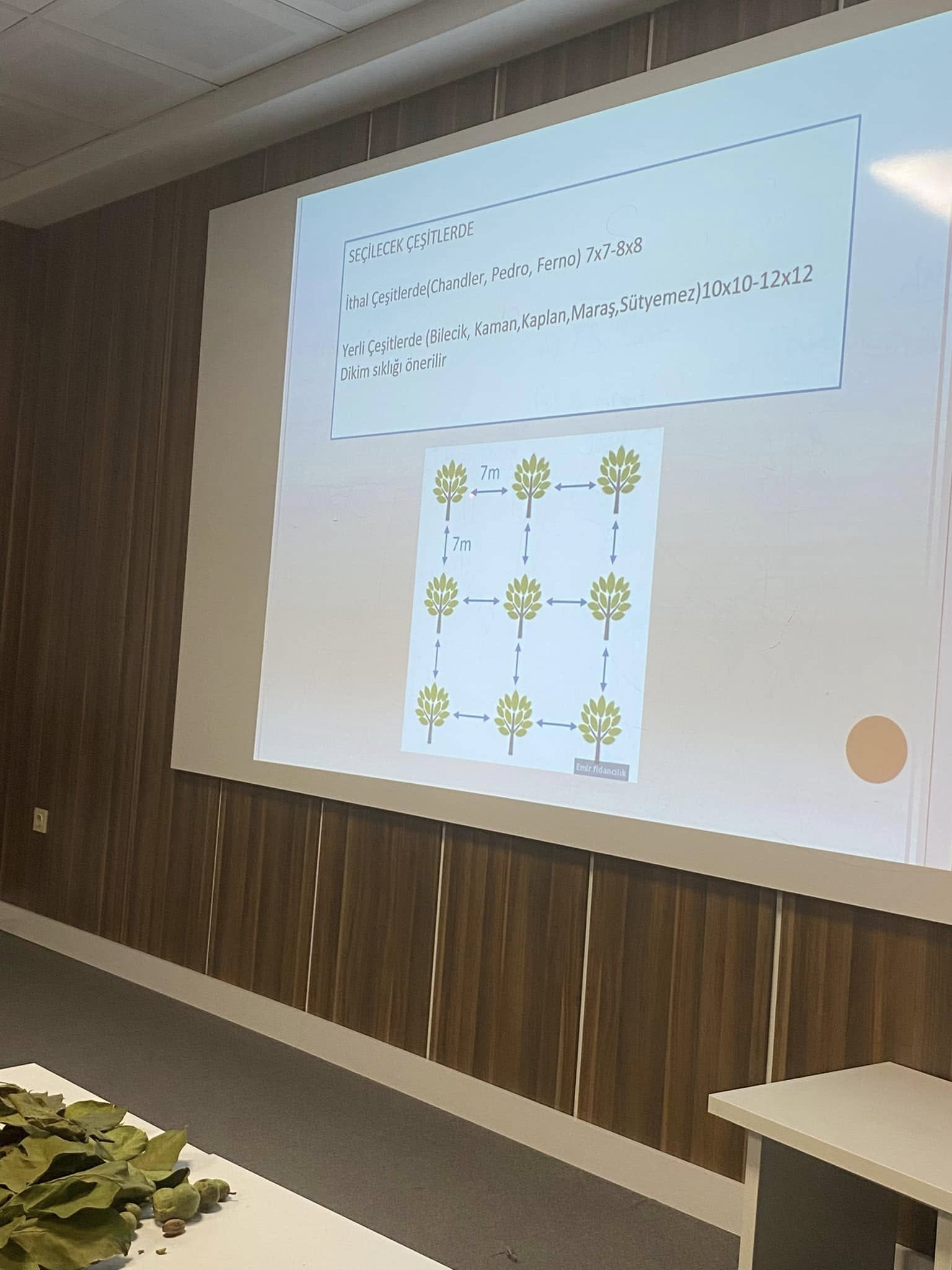 564616732 1121338466793425 953703335613186995 N