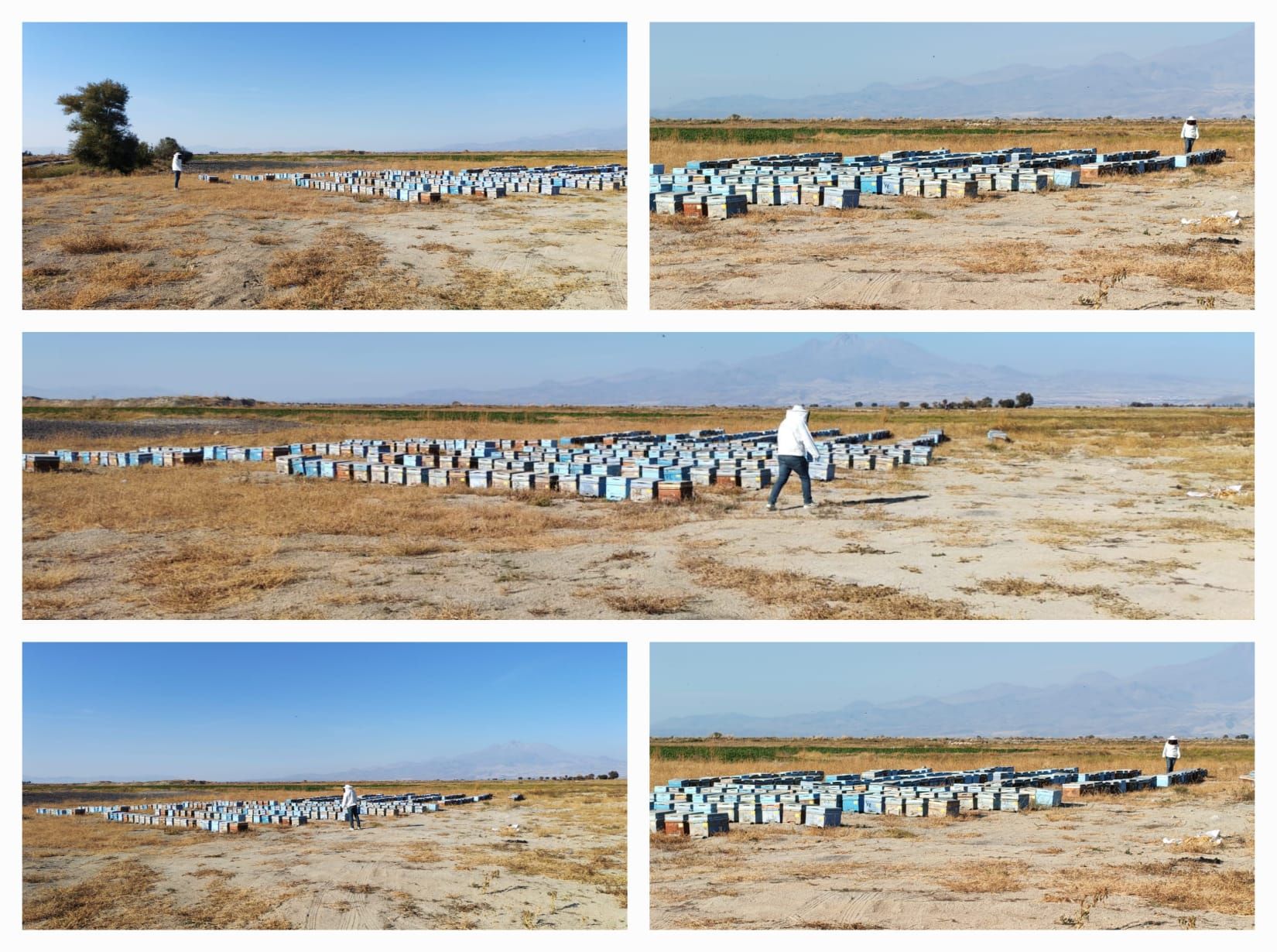 565104610 1922211248597850 6020003738054091997 N