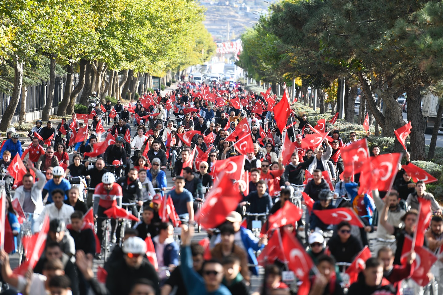 571671211 18542679556001303 3372718040900604411 N